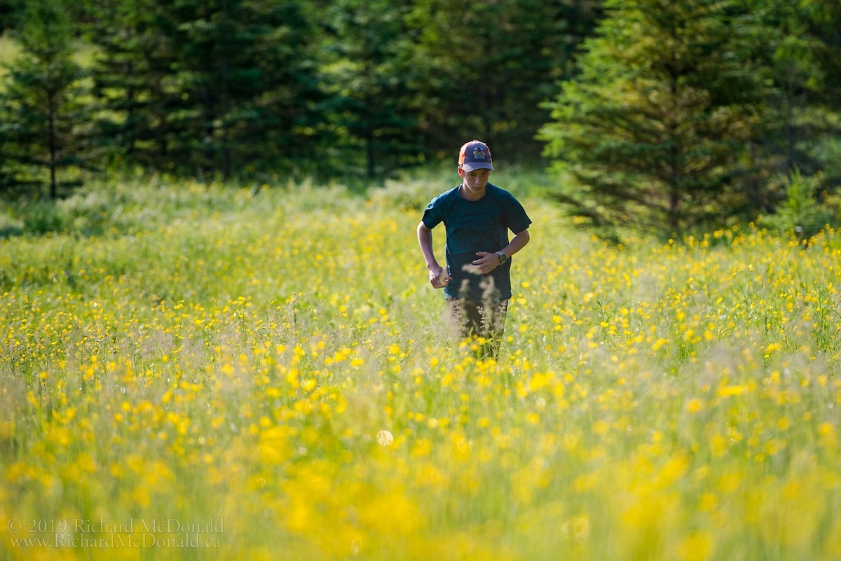 A runner crosses a sunny wildflower meadow